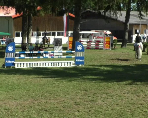 Reitturnier Memmingen/Schw. 2019