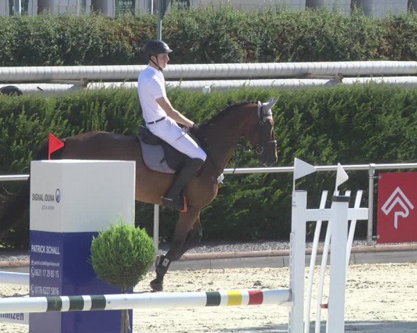 Reitturnier Durmersheim-Hardt 2019