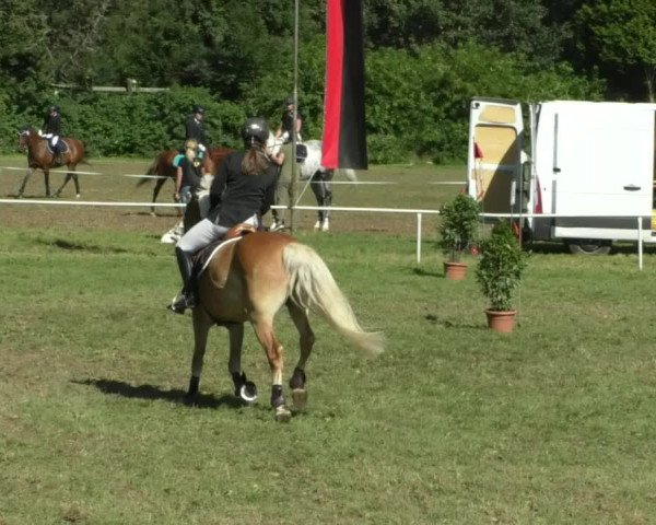 Reitturnier Memmingen/Schw. 2019