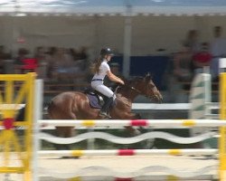 horse Uracca Sauvage (Selle Français, 2008, from Ivanohe Sauvage)