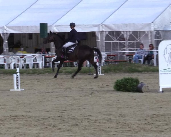 Reitturnier Menden 2019