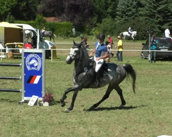 Reitturnier Memmingen/Schw. 2019