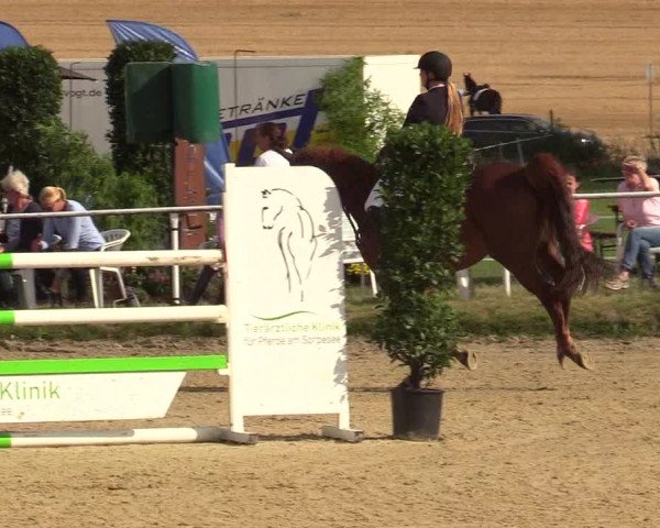 Reitturnier Menden 2019