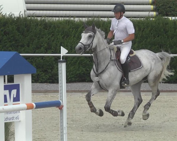 Reitturnier Durmersheim-Hardt 2019