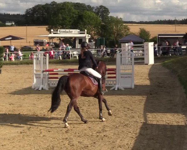 Reitturnier Menden 2019
