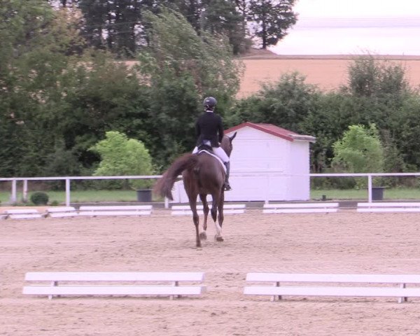 Reitturnier Menden 2019