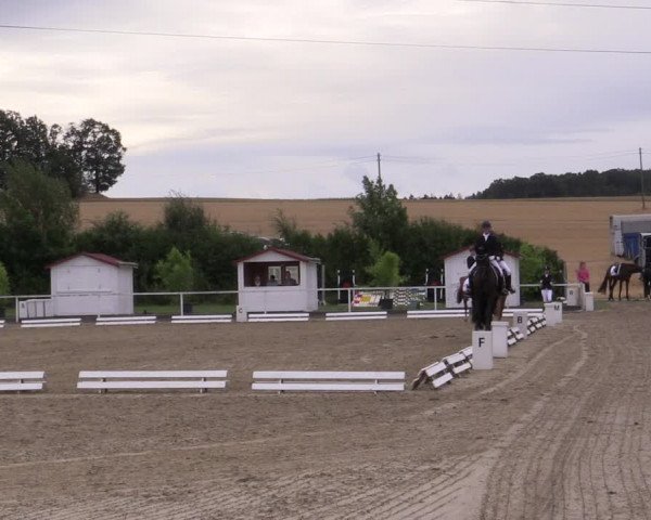 Reitturnier Menden 2019