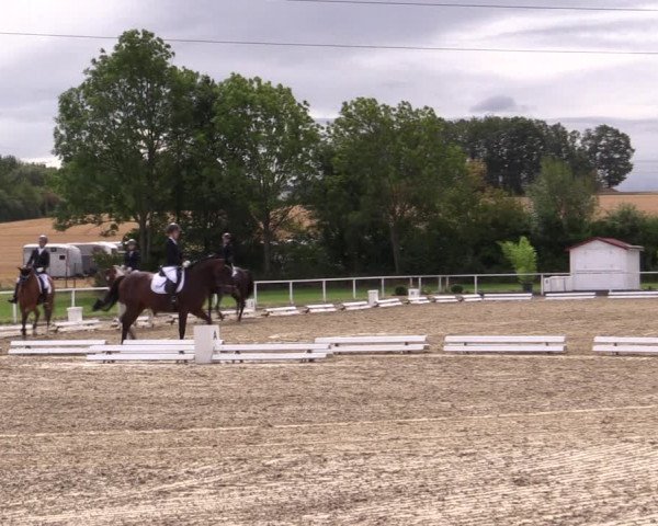 Reitturnier Menden 2019