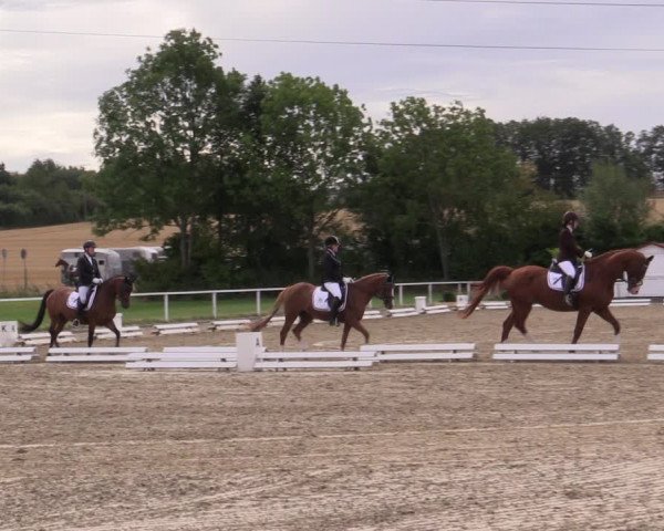 Reitturnier Menden 2019
