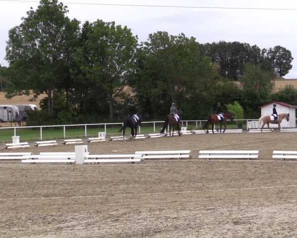 Reitturnier Menden 2019