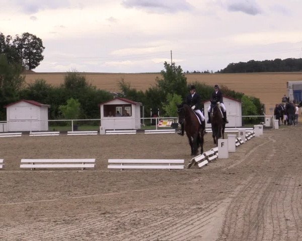 Reitturnier Menden 2019