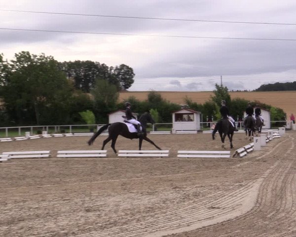 Reitturnier Menden 2019
