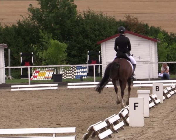 Reitturnier Menden 2019