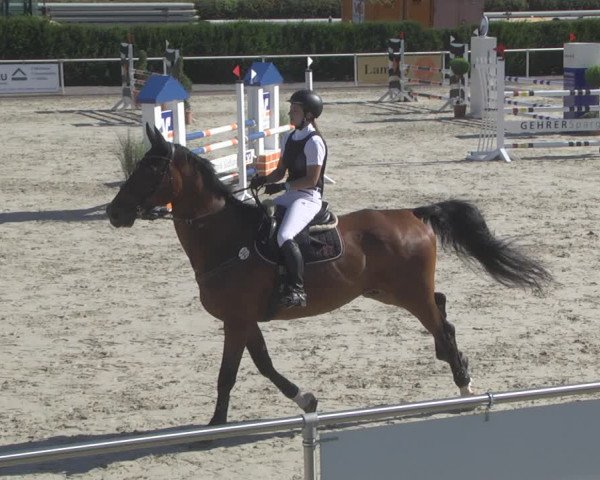 Reitturnier Durmersheim-Hardt 2019