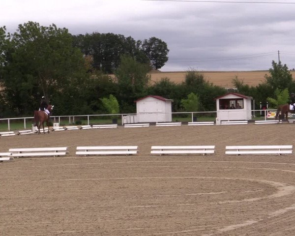 Reitturnier Menden 2019