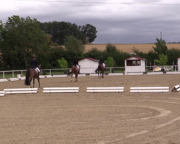 Reitturnier Menden 2019
