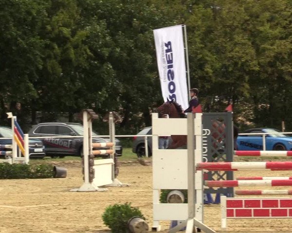 Reitturnier Menden 2019