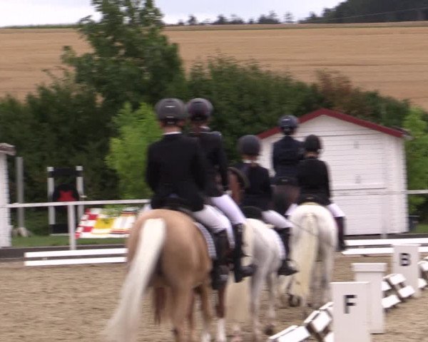 Reitturnier Menden 2019