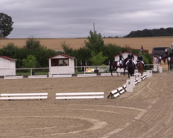 Reitturnier Menden 2019