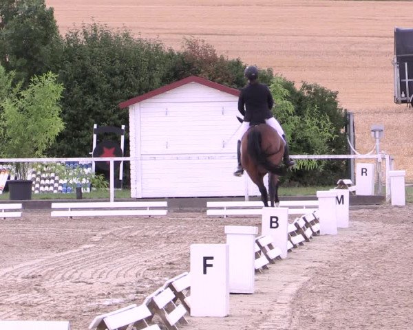 Reitturnier Menden 2019