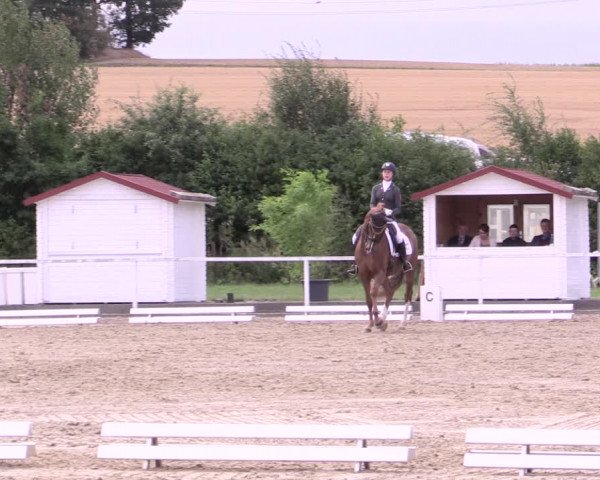 Reitturnier Menden 2019