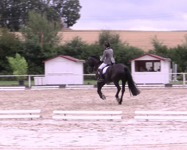 Reitturnier Menden 2019