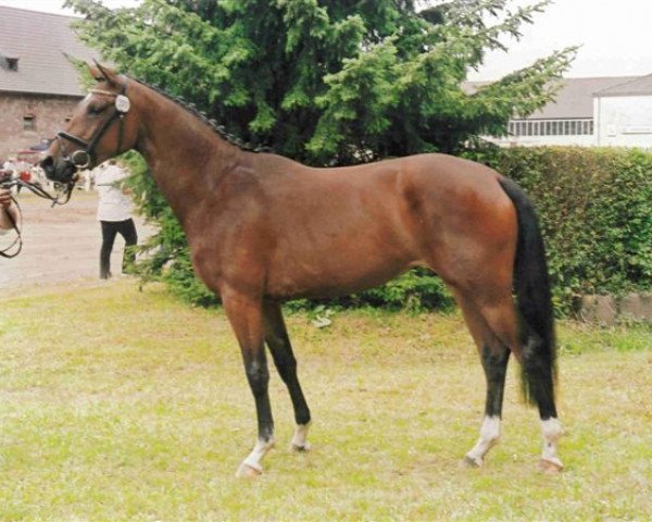 broodmare Godelia (Trakehner, 2003, from Donaufischer)