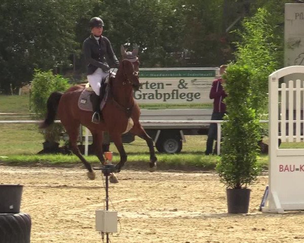 Reitturnier Menden 2019