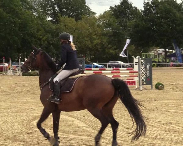 Reitturnier Menden 2019