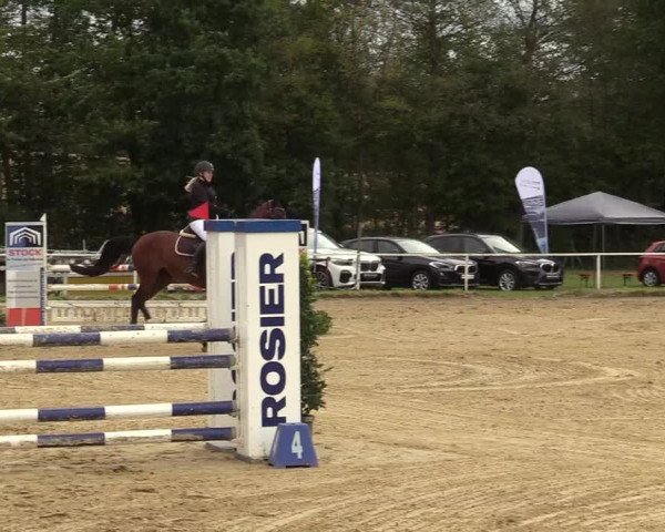 Reitturnier Menden 2019