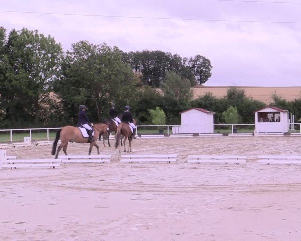 Reitturnier Menden 2019