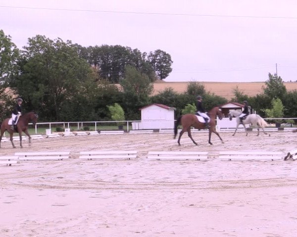 Reitturnier Menden 2019