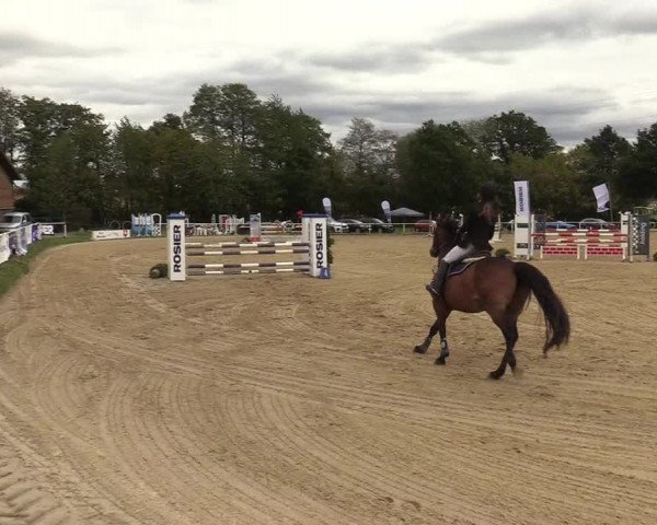 Reitturnier Menden 2019