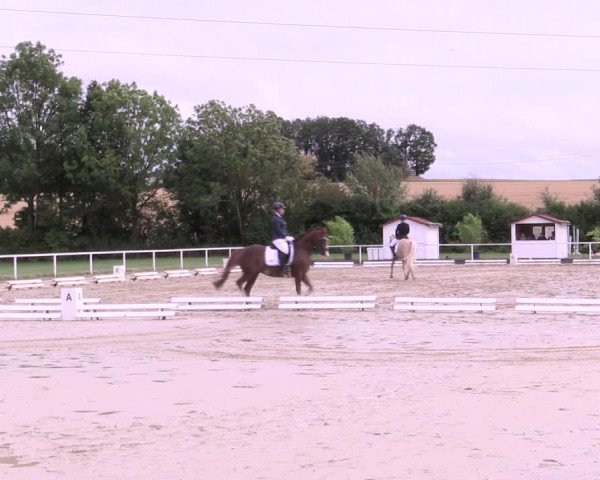 Reitturnier Menden 2019