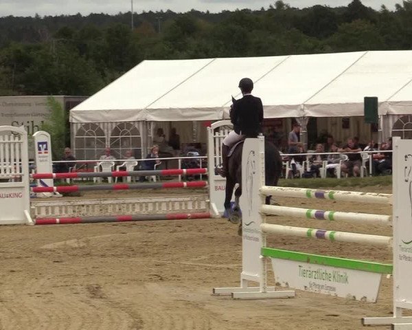 Reitturnier Menden 2019
