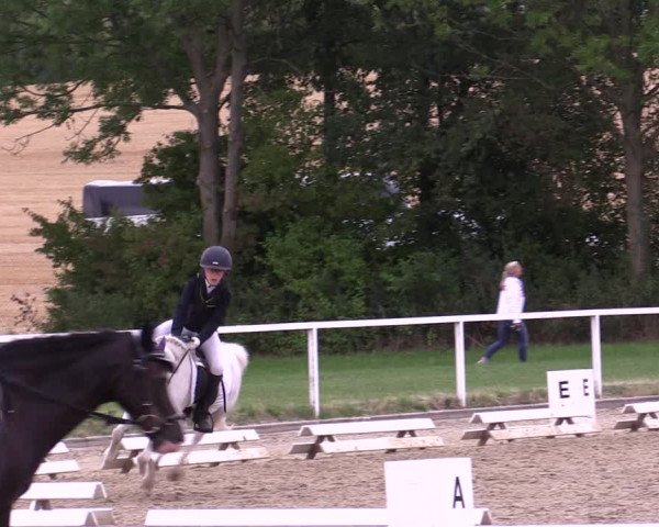 Reitturnier Menden 2019