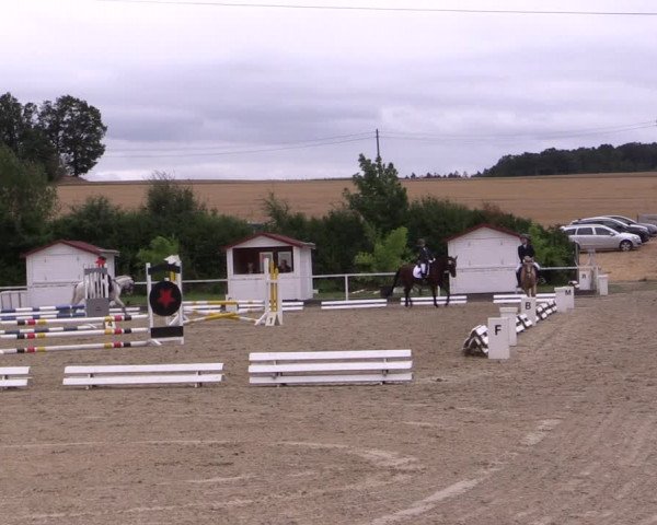 Reitturnier Menden 2019