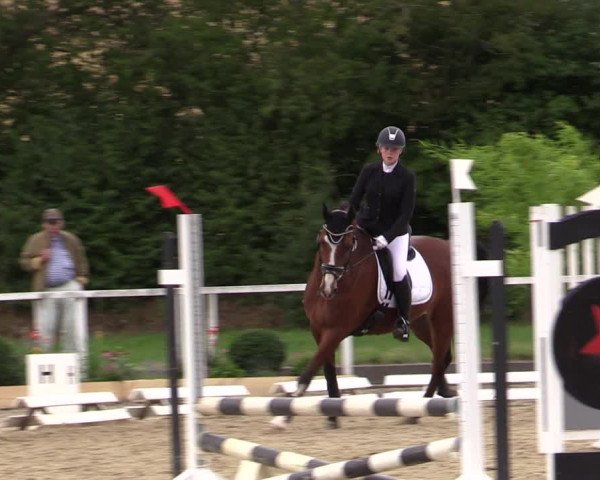 Reitturnier Menden 2019