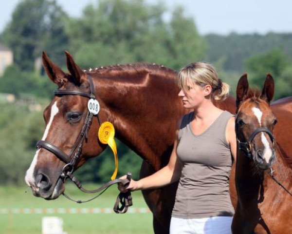 broodmare Alisa (Zweibrücken, 1997, from Alexis Z)