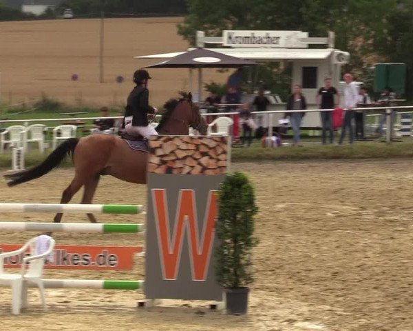 Reitturnier Menden 2019