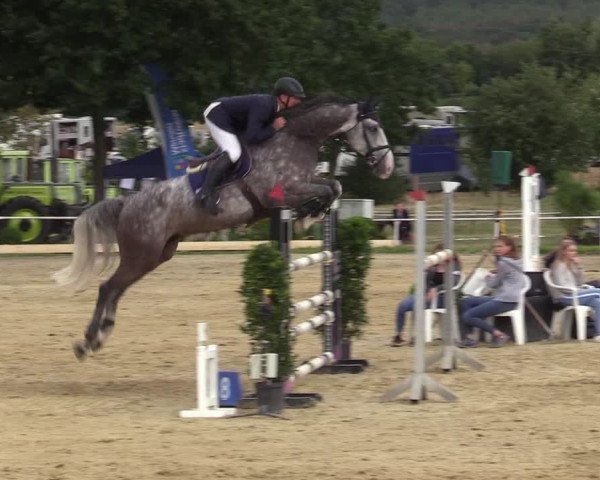 Reitturnier Menden 2019