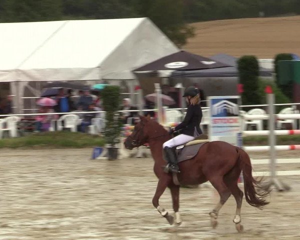 Reitturnier Menden 2019