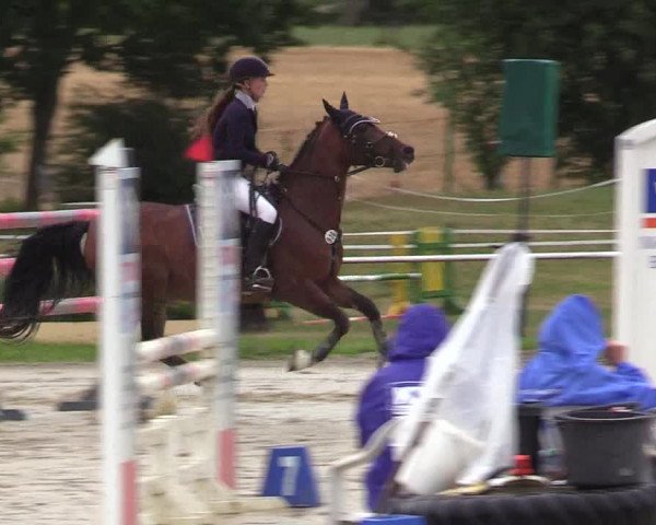 Reitturnier Menden 2019