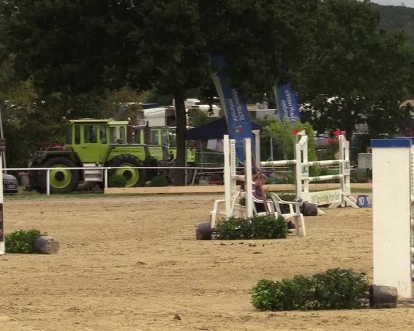 Reitturnier Menden 2019