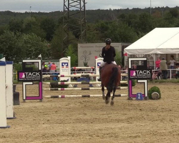 Reitturnier Menden 2019