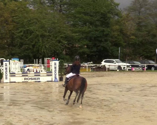 Reitturnier Menden 2019