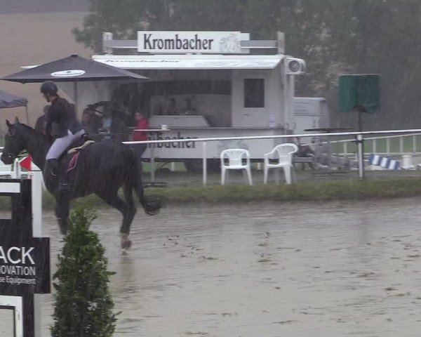 Reitturnier Menden 2019