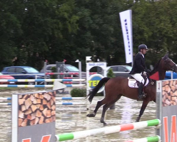 Reitturnier Menden 2019