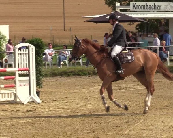 Reitturnier Menden 2019