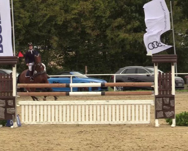 Reitturnier Menden 2019